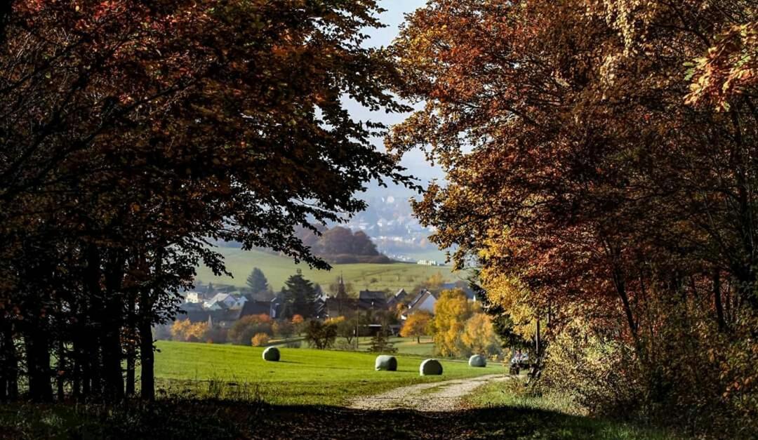 Ferienwohnung Alpaka Blick Schneppenbach Kültér fotó