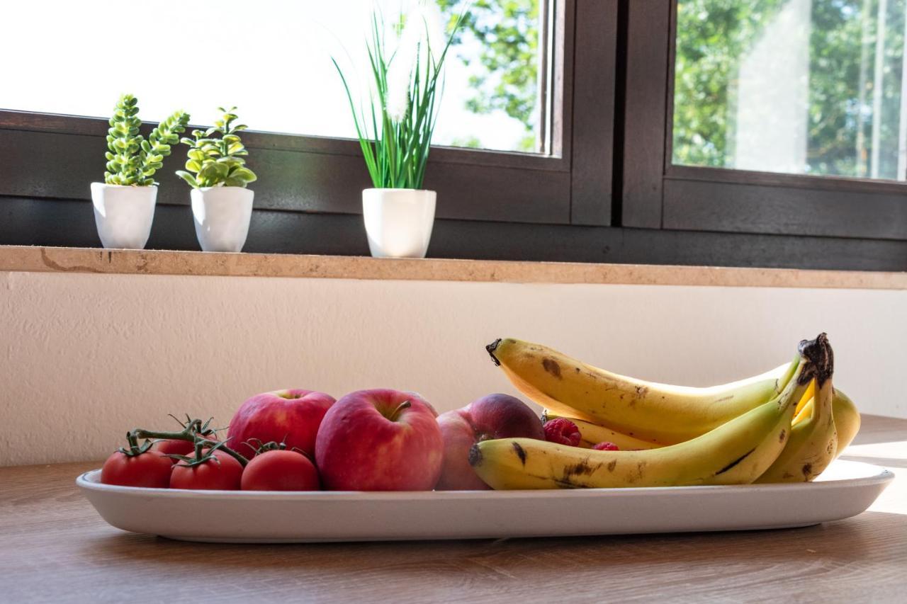Ferienwohnung Alpaka Blick Schneppenbach Kültér fotó